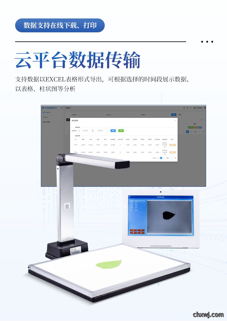 叶面积仪