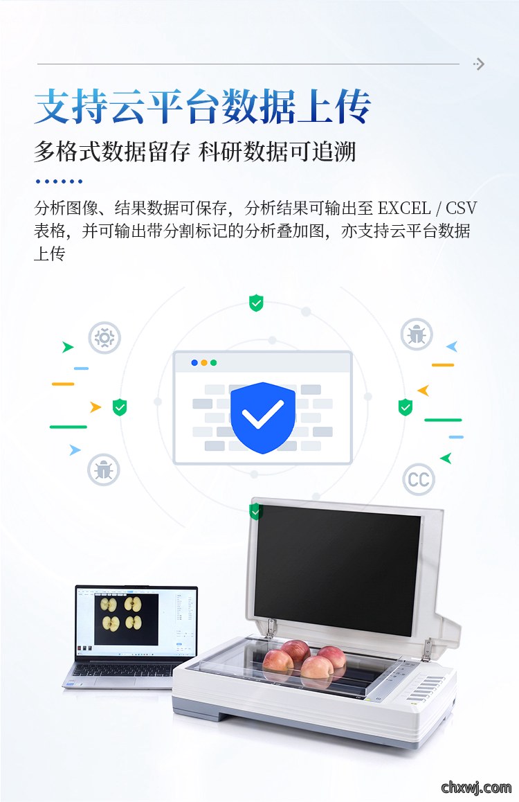 瓜果剖切面瓤色图像分析仪