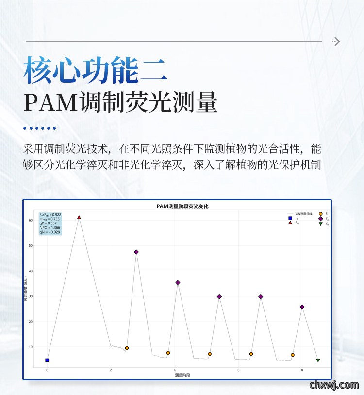 叶绿素荧光成像仪