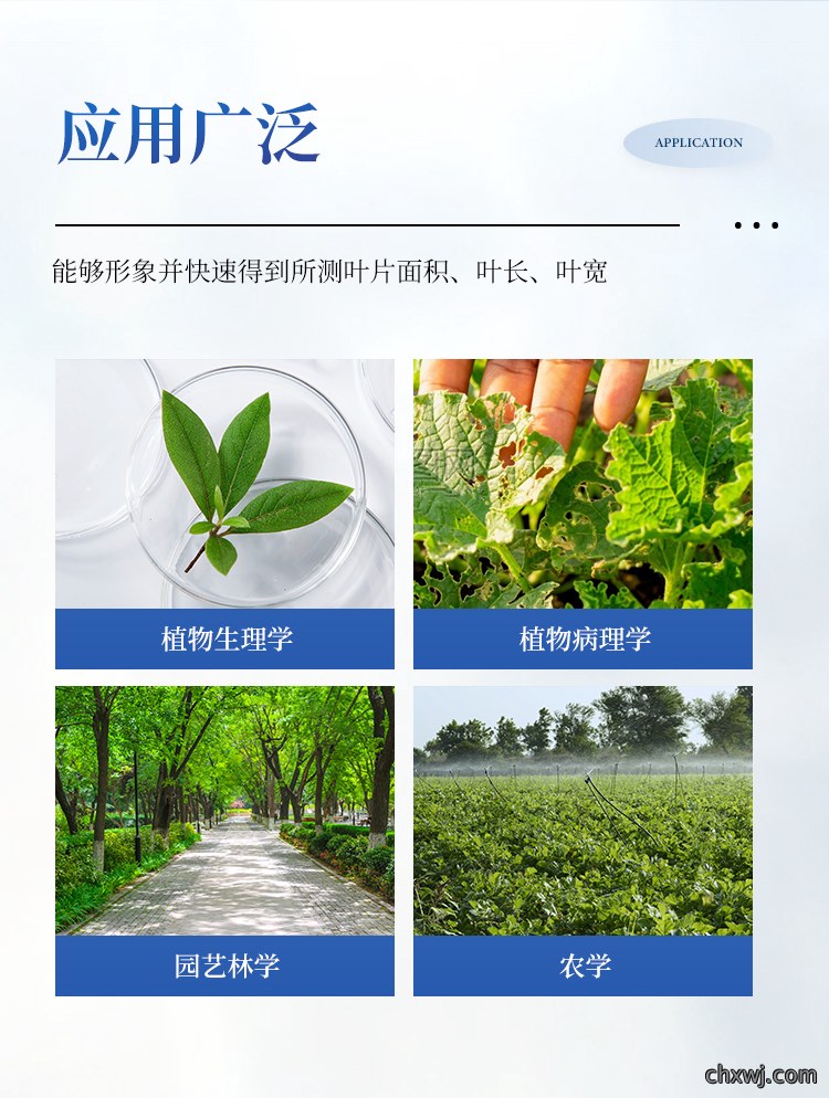 叶面积仪