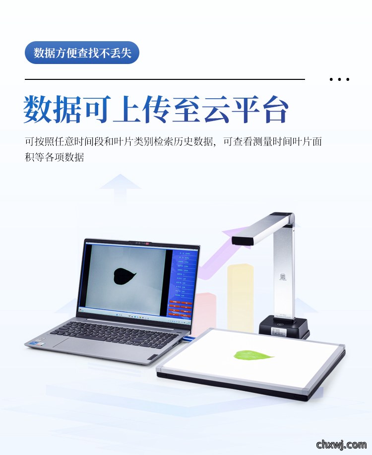 叶面积测量仪