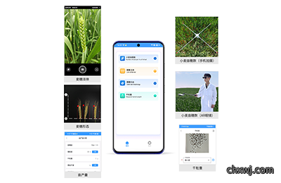小麦亩穗数分析仪IN-XM02