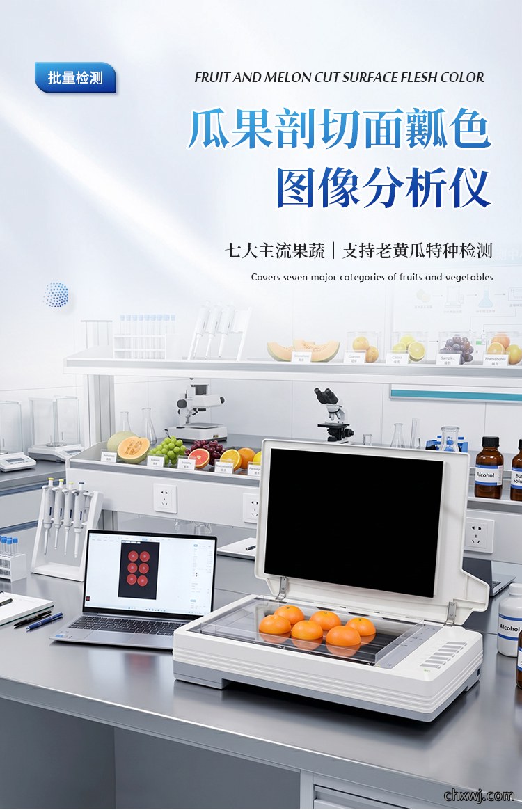 瓜果剖切面瓤色图像分析仪