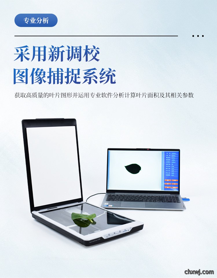 叶面积仪