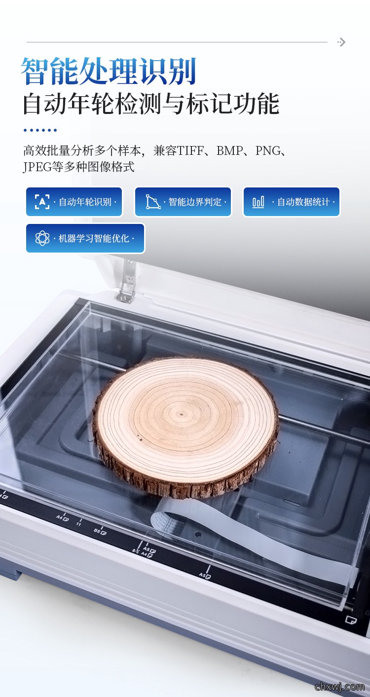 年轮分析仪