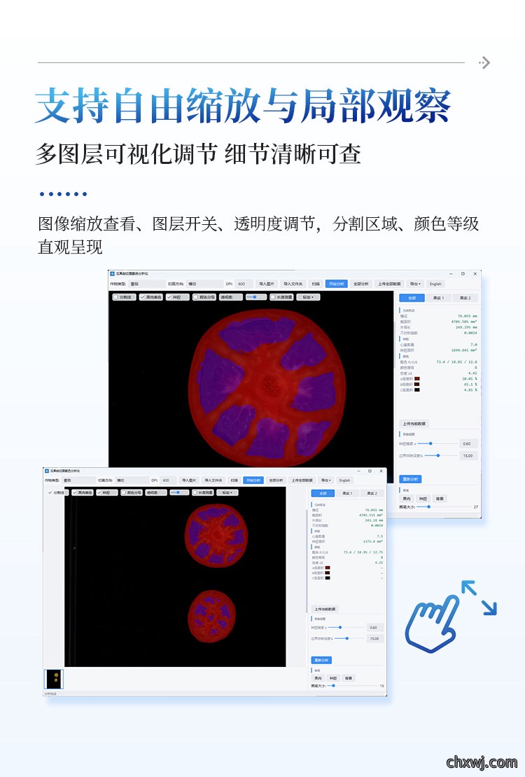 瓜果剖切面瓤色图像分析仪