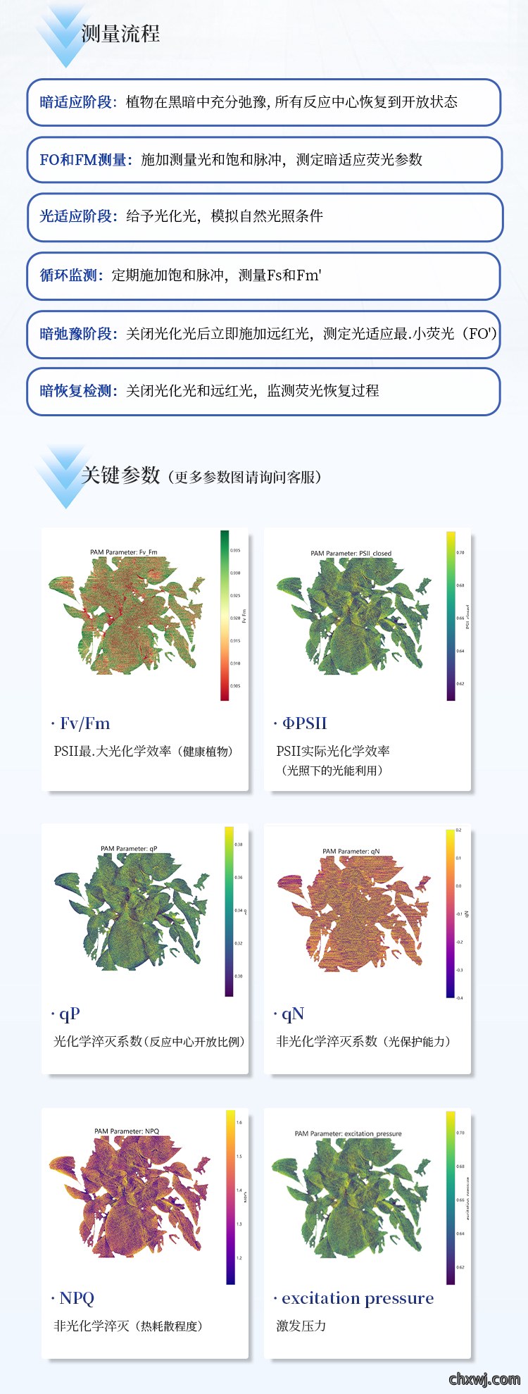 叶绿素荧光成像仪