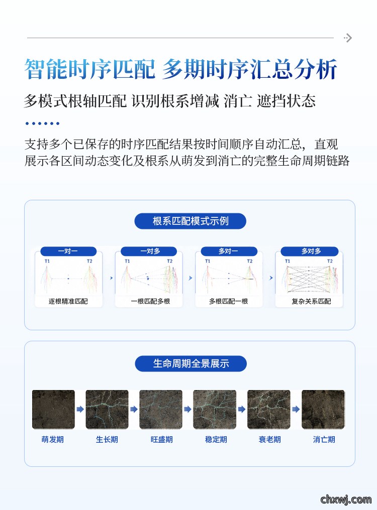 微根管根系监测系统