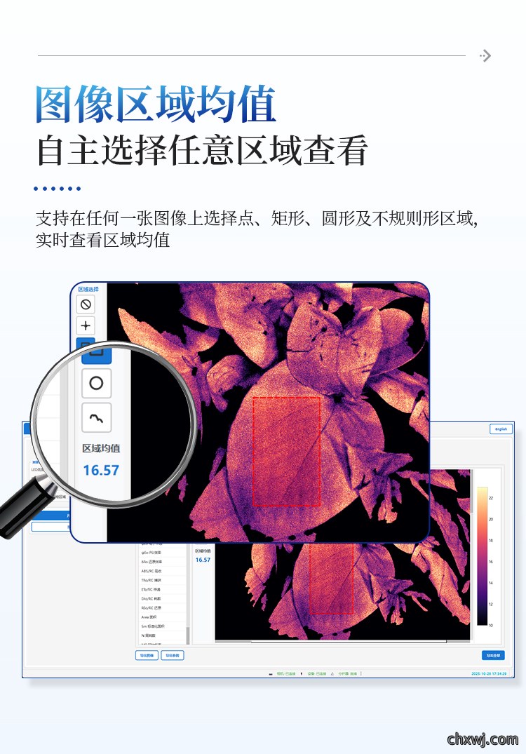 叶绿素荧光成像仪