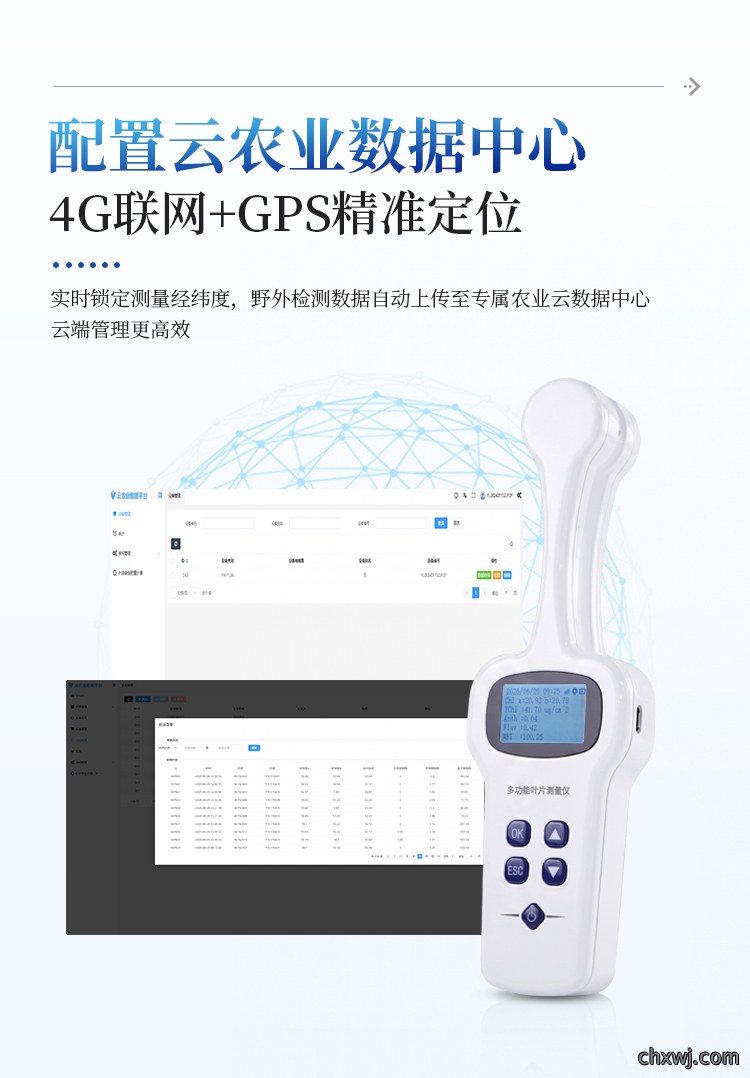 植物多酚叶绿素仪