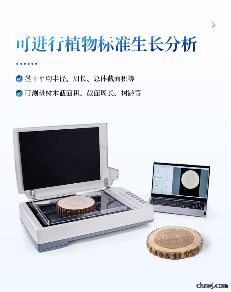 树木年轮分析系统