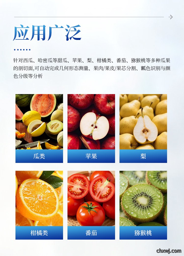 瓜果剖切面瓤色图像分析仪